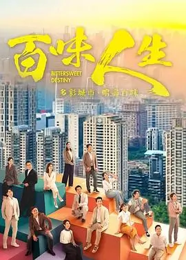 雾港档案 热播电视剧全集免费观看